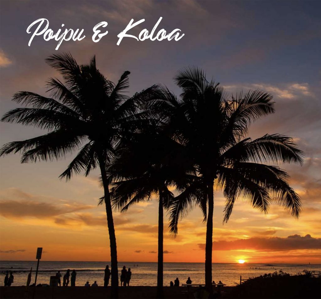 Kauai Realty Kauai Real Estate MLS, Kauai Homes for Sale, Condos, Land